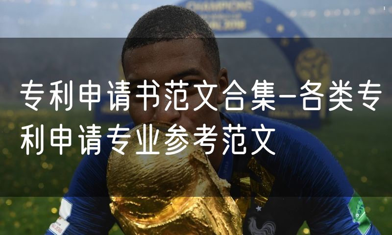 专利申请书范文合集-各类专利申请专业参考范文