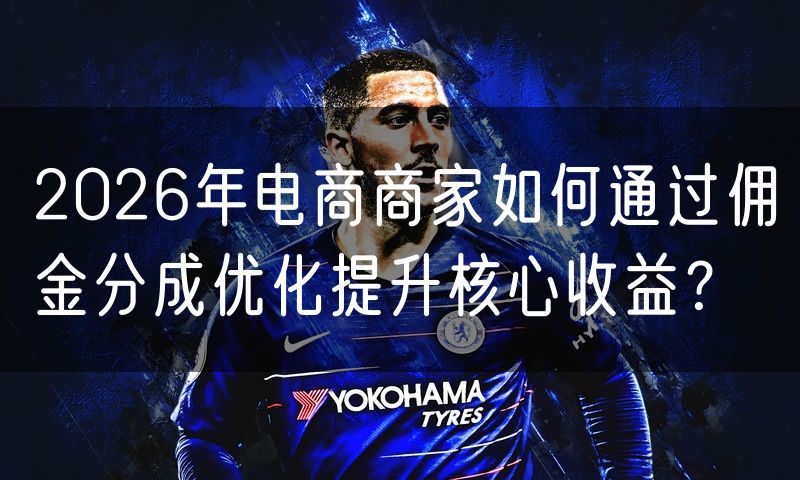 2026年电商商家如何通过佣金分成优化提升核心收益?(3)