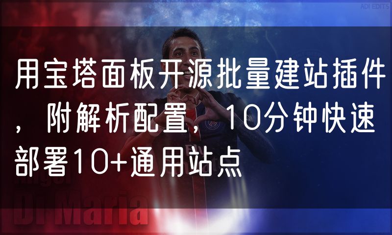 用宝塔面板开源批量建站插件，附解析配置，10分钟快速部署10+通用站点
