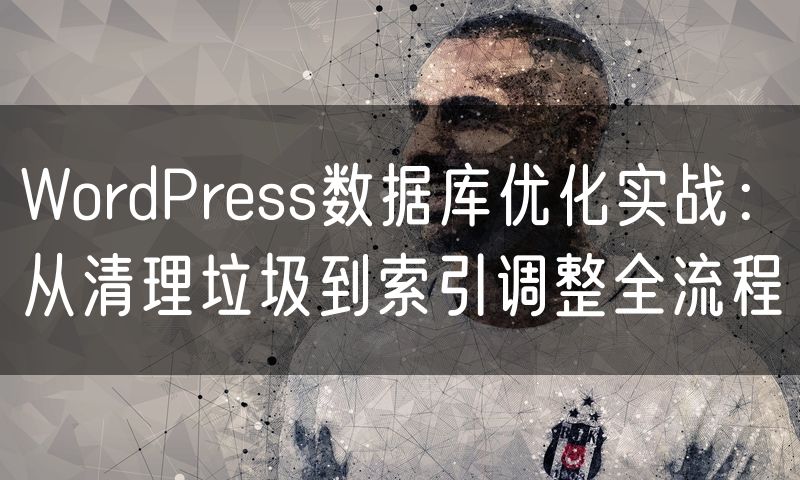 WordPress数据库优化实战:从清理垃圾到索引调整全流程