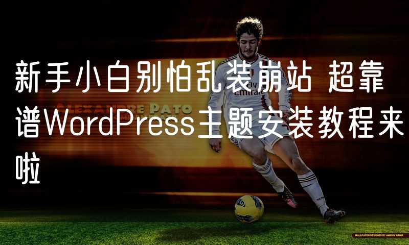 新手小白别怕乱装崩站 超靠谱WordPress主题安装教程来啦