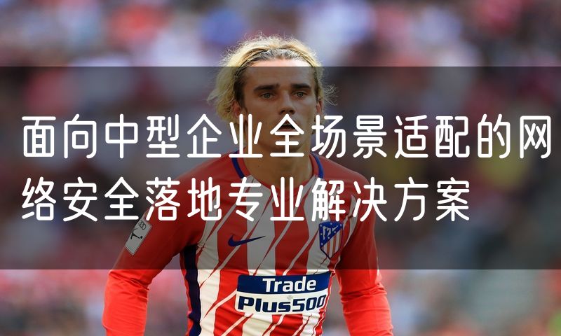 面向中型企业全场景适配的网络安全落地专业解决方案(3)