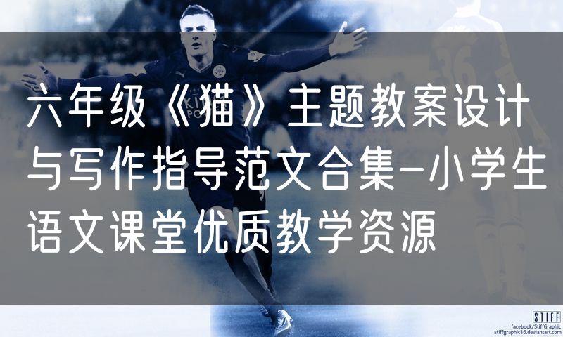 六年级《猫》主题教案设计与写作指导范文合集-小学生语文课堂优质教学资源