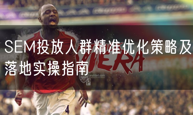 SEM投放人群精准优化策略及落地实操指南(8)