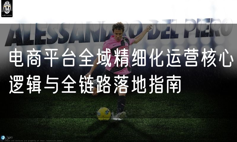 电商平台全域精细化运营核心逻辑与全链路落地指南