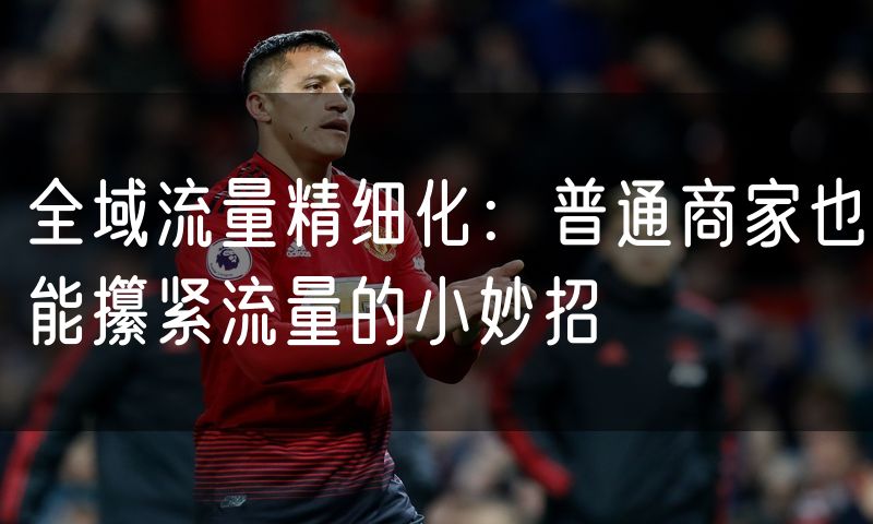 全域流量精细化：普通商家也能攥紧流量的小妙招