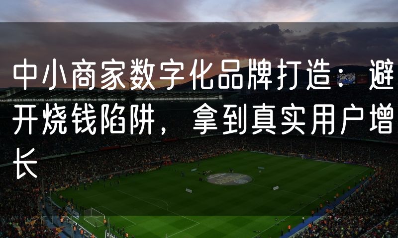 中小商家数字化品牌打造:避开烧钱陷阱,拿到真实用户增长(5)