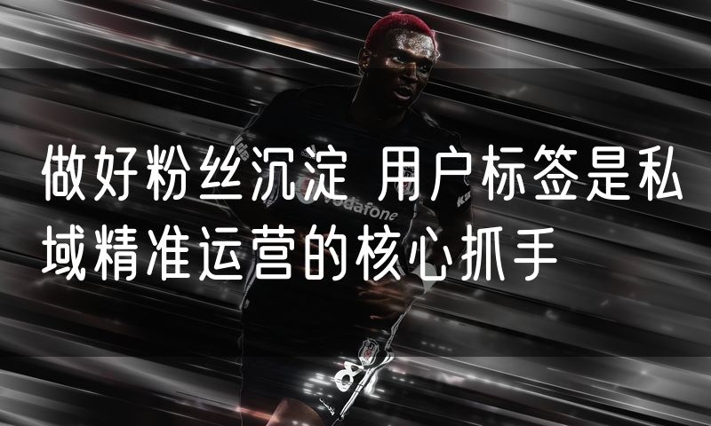 做好粉丝沉淀 用户标签是私域精准运营的核心抓手