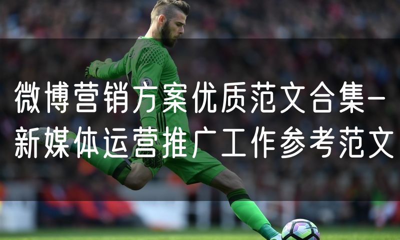 微博营销方案优质范文合集-新媒体运营推广工作参考范文