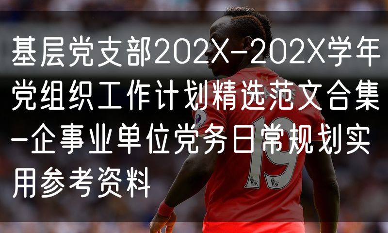 基层党支部202X-202X学年党组织工作计划精选范文合集-企事业单位党务日常规划实用参考资料