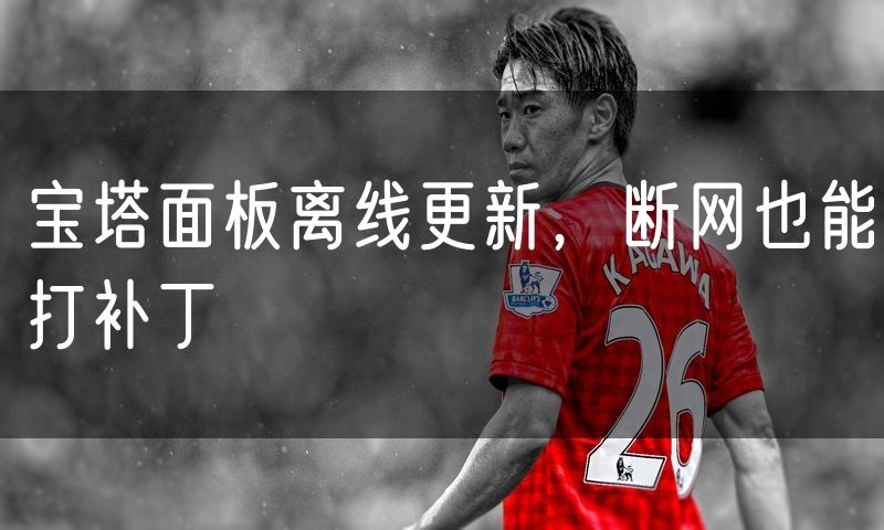 宝塔面板离线更新，断网也能打补丁