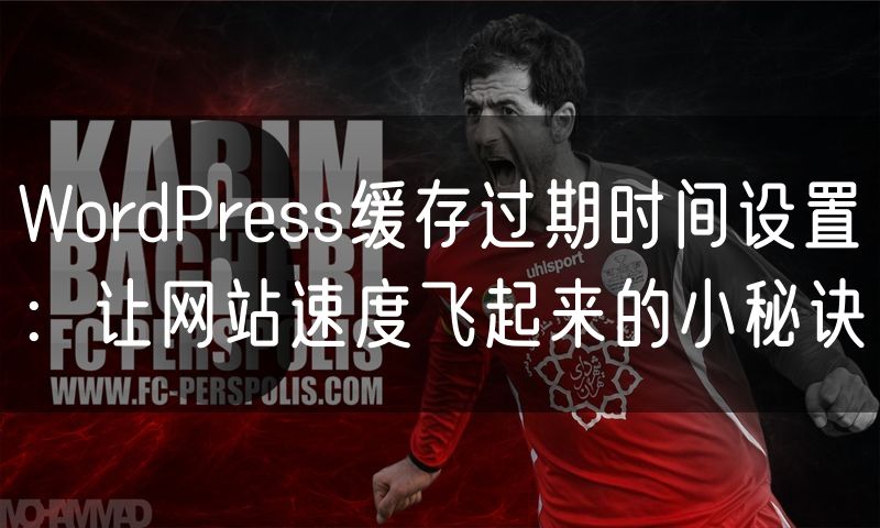 WordPress缓存过期时间设置:让网站速度飞起来的小秘诀