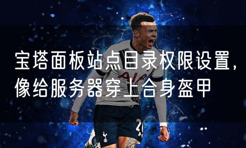 宝塔面板站点目录权限设置,像给服务器穿上合身盔甲