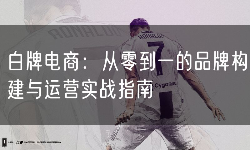 白牌电商：从零到一的品牌构建与运营实战指南(8)