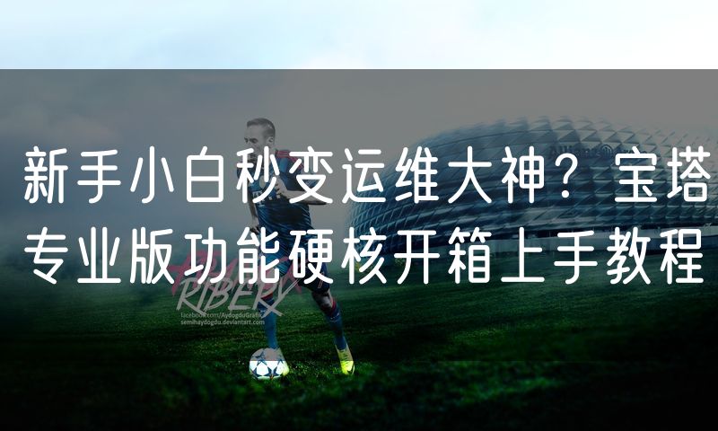 新手小白秒变运维大神？宝塔专业版功能硬核开箱上手教程