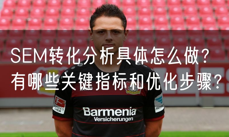 SEM转化分析具体怎么做？有哪些关键指标和优化步骤？(18)