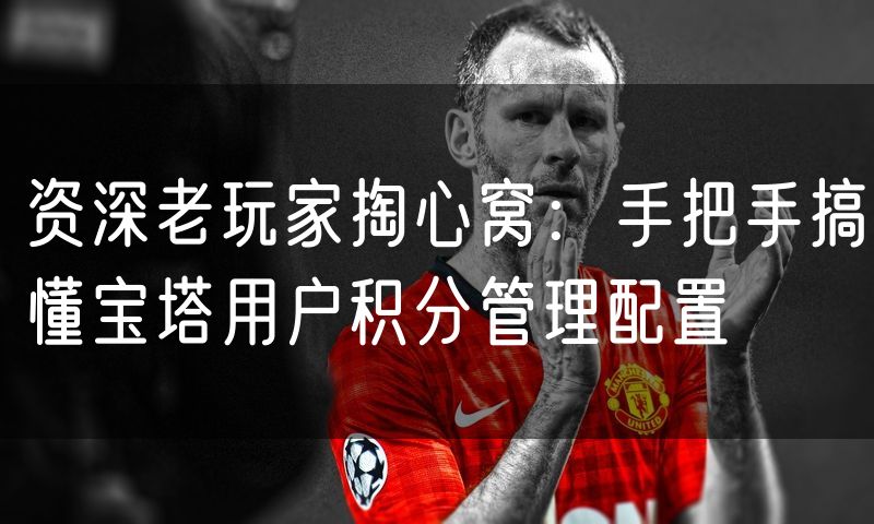 资深老玩家掏心窝:手把手搞懂宝塔用户积分管理配置