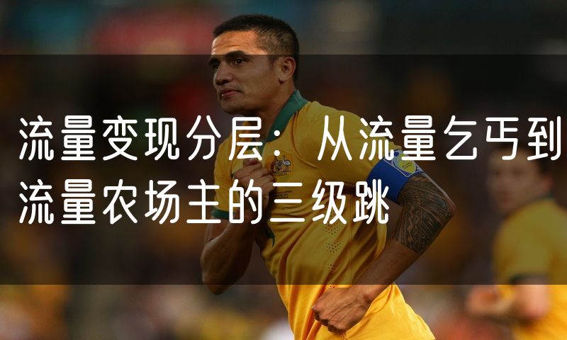 流量变现分层:从流量乞丐到流量农场主的三级跳