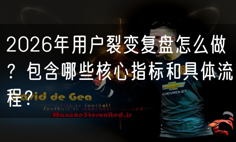2026年用户裂变复盘怎么做?包含哪些核心指标和具体流程?