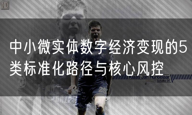 中小微实体数字经济变现的5类标准化路径与核心风控