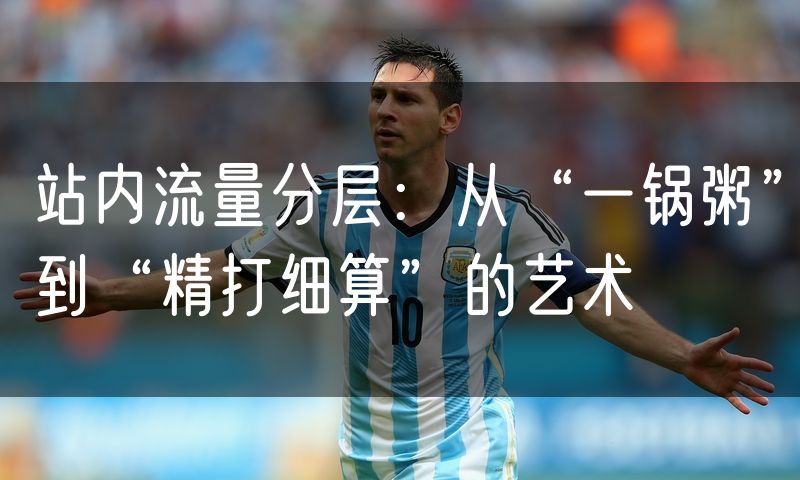 站内流量分层：从“一锅粥”到“精打细算”的艺术