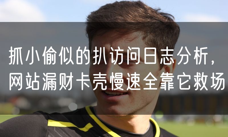 抓小偷似的扒访问日志分析,网站漏财卡壳慢速全靠它救场
