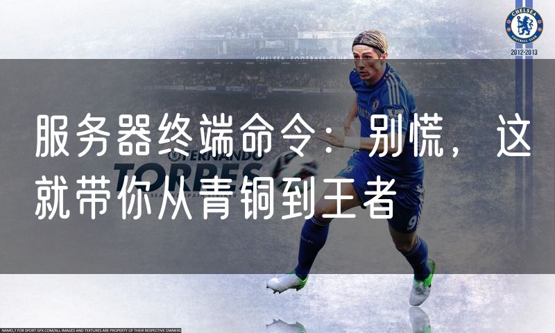 服务器终端命令:别慌,这就带你从青铜到王者