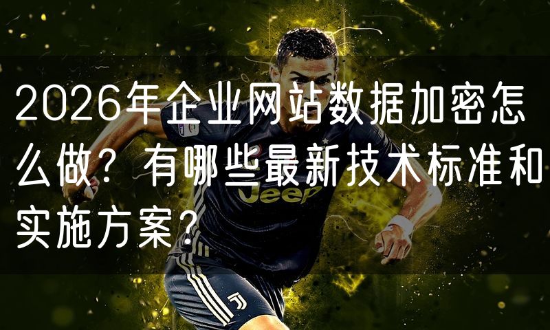 2026年企业网站数据加密怎么做？有哪些最新技术标准和实施方案？