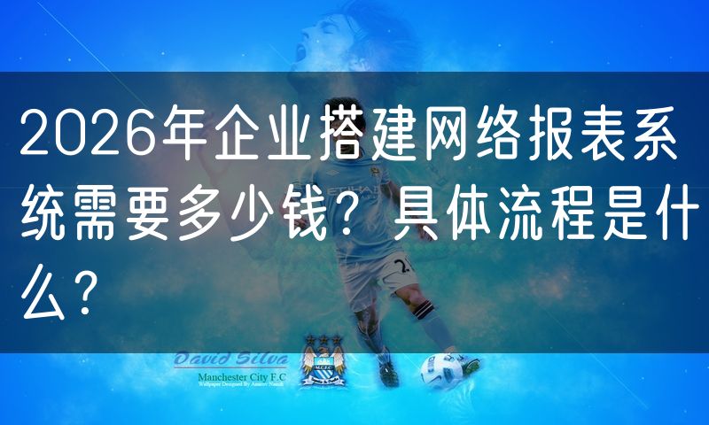 2026年企业搭建网络报表系统需要多少钱？具体流程是什么？