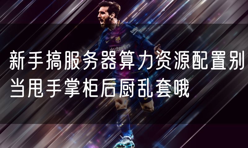 新手搞服务器算力资源配置别当甩手掌柜后厨乱套哦