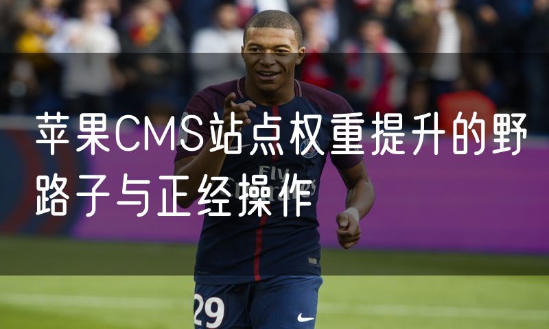 苹果CMS站点权重提升的野路子与正经操作