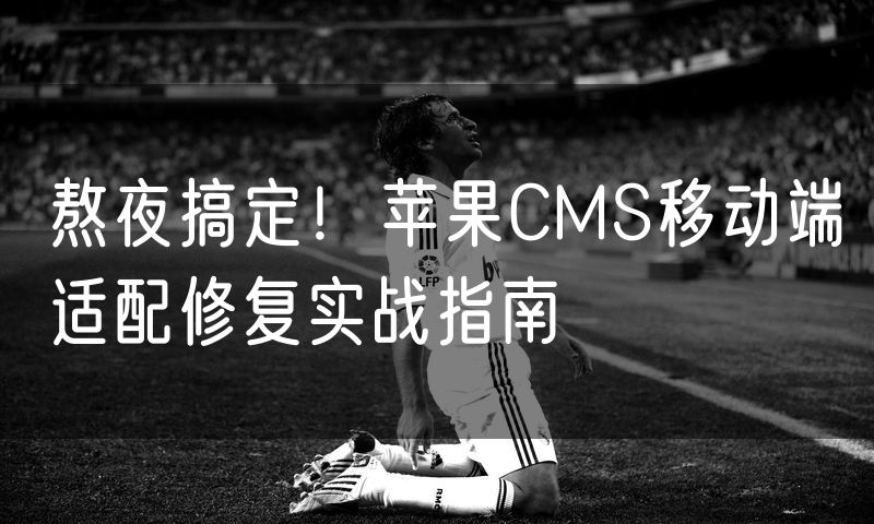 熬夜搞定!苹果CMS移动端适配修复实战指南