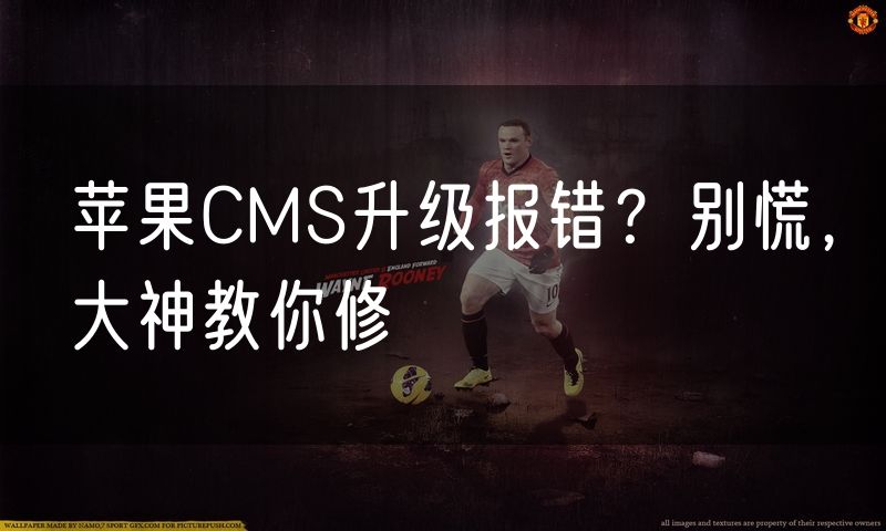 苹果CMS升级报错？别慌，大神教你修