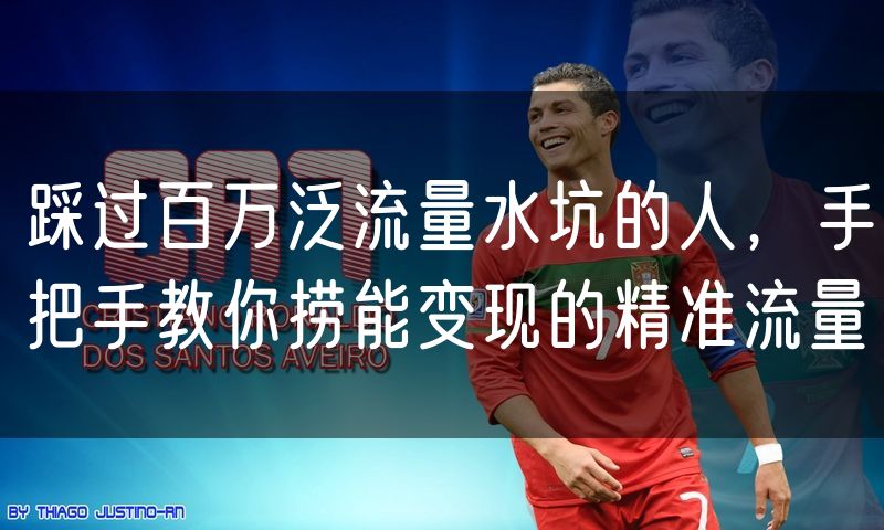 踩过百万泛流量水坑的人,手把手教你捞能变现的精准流量
