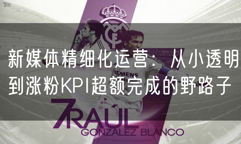 新媒体精细化运营:从小透明到涨粉KPI超额完成的野路子
