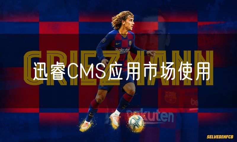 迅睿CMS应用市场使用