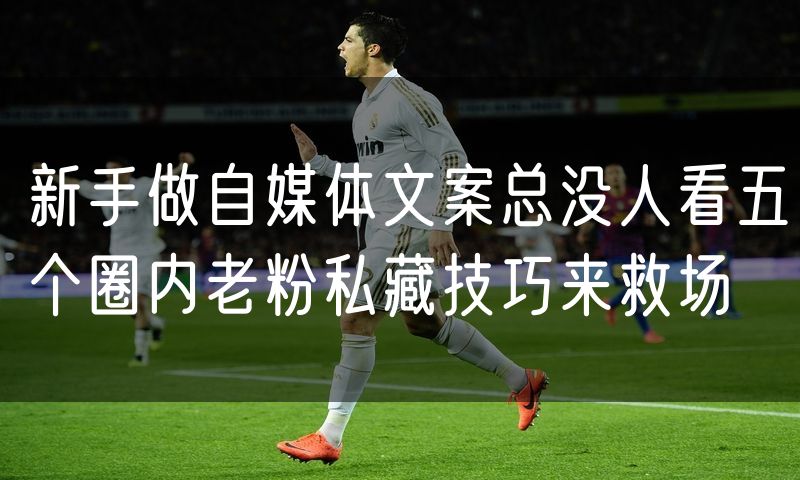 新手做自媒体文案总没人看五个圈内老粉私藏技巧来救场