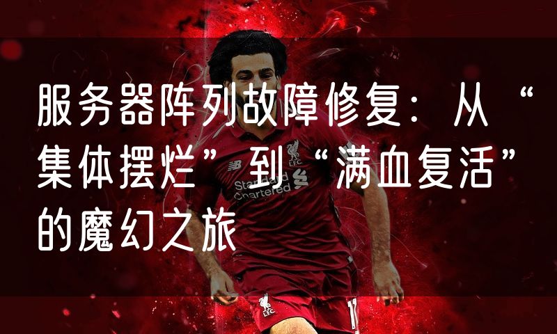 服务器阵列故障修复：从“集体摆烂”到“满血复活”的魔幻之旅
