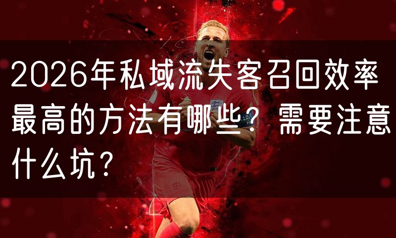 2026年私域流失客召回效率最高的方法有哪些？需要注意什么坑？