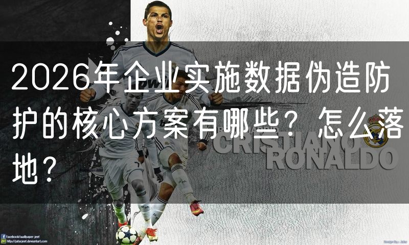 2026年企业实施数据伪造防护的核心方案有哪些?怎么落地?