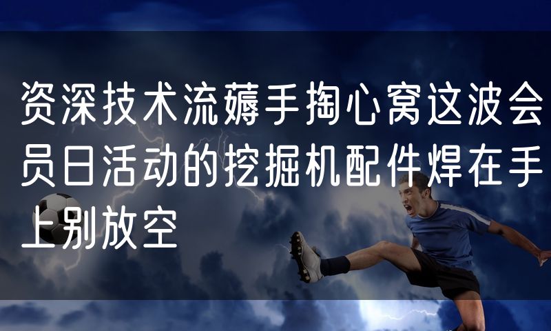 资深技术流薅手掏心窝这波会员日活动的挖掘机配件焊在手上别放空