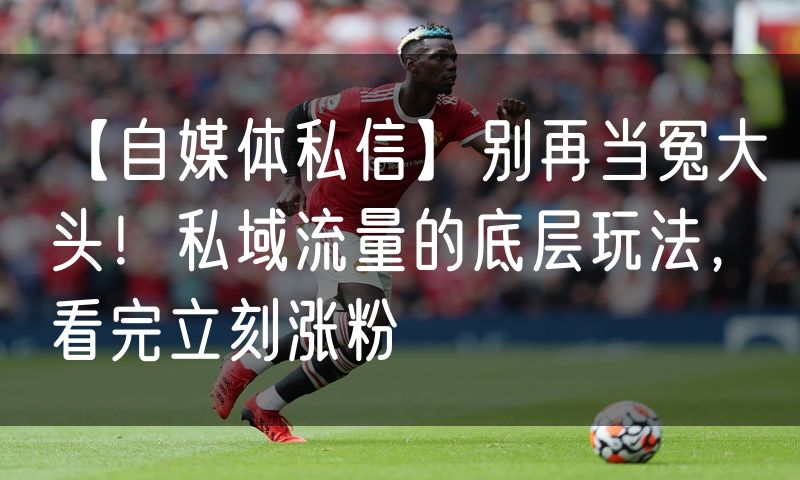 【自媒体私信】别再当冤大头!私域流量的底层玩法,看完立刻涨粉