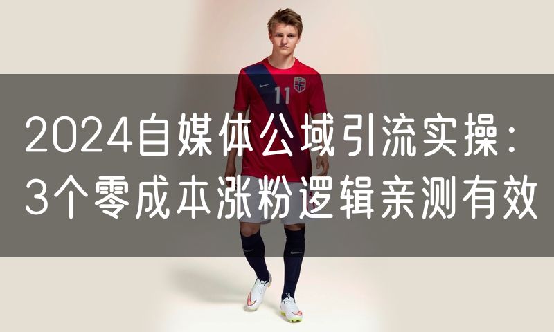 2024自媒体公域引流实操:3个零成本涨粉逻辑亲测有效