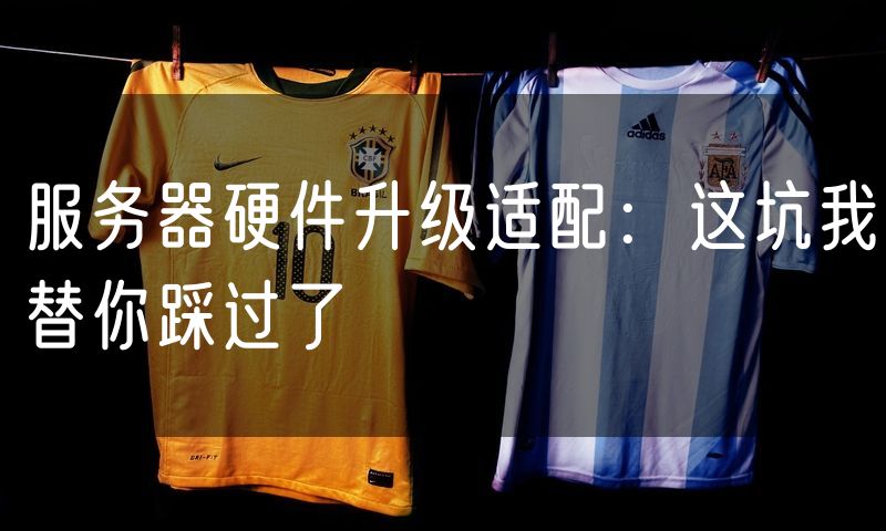 服务器硬件升级适配:这坑我替你踩过了