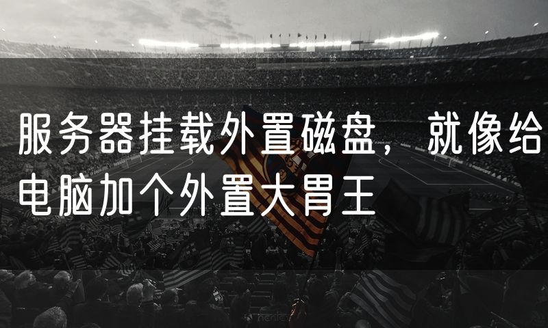 服务器挂载外置磁盘，就像给电脑加个外置大胃王