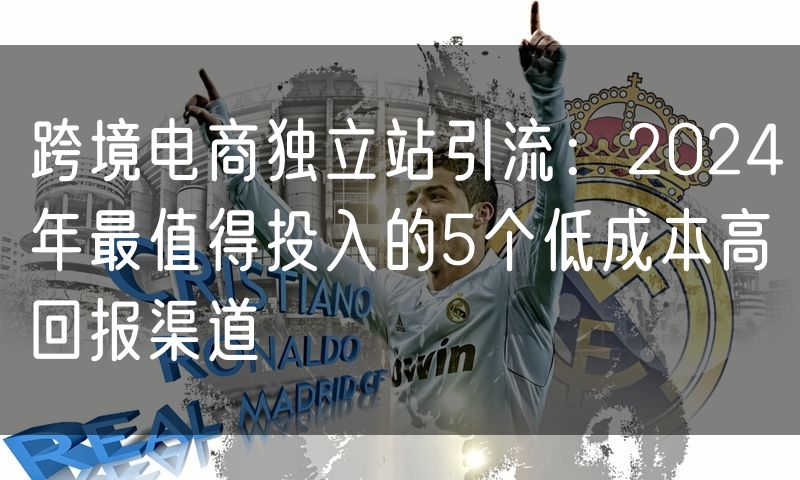 跨境电商独立站引流：2024年最值得投入的5个低成本高回报渠道