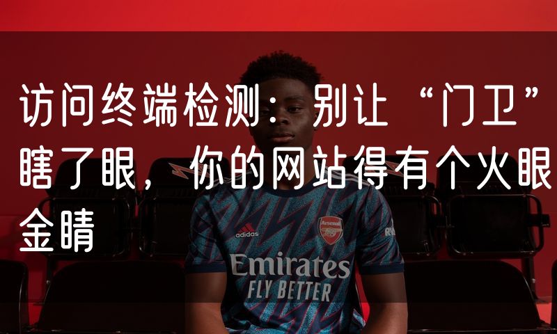 访问终端检测：别让“门卫”瞎了眼，你的网站得有个火眼金睛