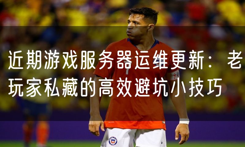 近期游戏服务器运维更新:老玩家私藏的高效避坑小技巧