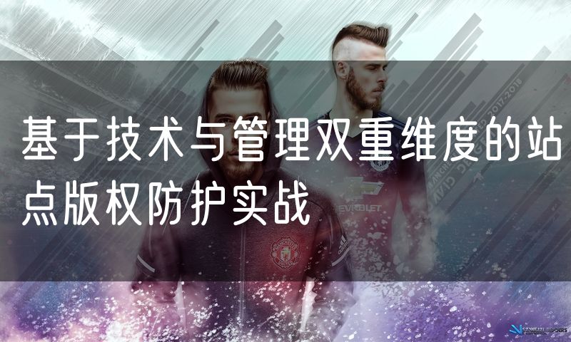 基于技术与管理双重维度的站点版权防护实战