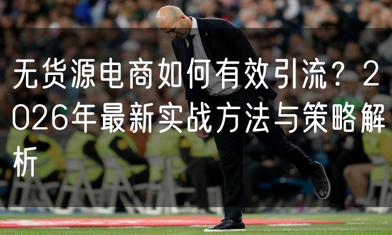 无货源电商如何有效引流?2026年最新实战方法与策略解析